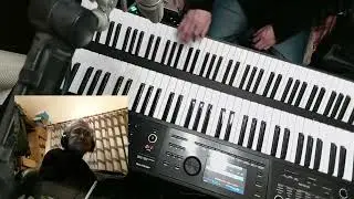 12月3日のライブ