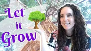 Grounding | Feel safe and secure | Way to Happiness