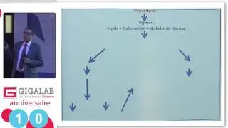 Les connectivites Auto immunes