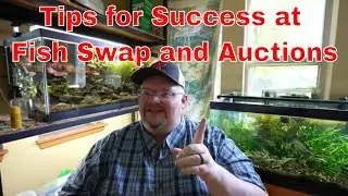 Going to a Fish Swap or Auction? Watch this first!