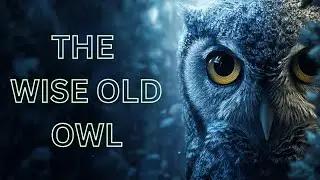 The Wise Old Owl | A Moral Story for Kids | Inspirational Story for Children | Wisdom