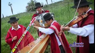 Arnaldo Asto - Ayacuchano Llacctamasillay