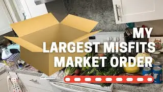 My Largest Misfits Market Order To Date