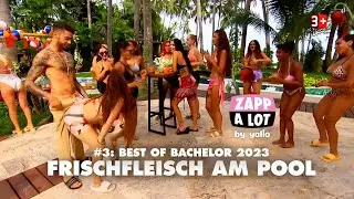 Vol. 3 - 🌹 Best of BACHELOR 2023 🌹 - 🥩 Frischfleisch am Pool 🏊‍♂️ - by  @zappalot