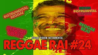 Reggae Riddim N&deg;24: The Best Reggae Instrumentals 