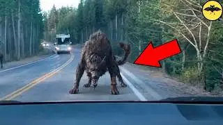 Weirdest Things Caught on Camera No One Can Explain
