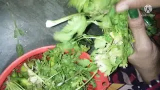 How To Cut fresh Coriander #Short