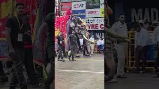 Mysore Dasara 2024 elephant bheema Craze #mysoredasara #bheema #elephant