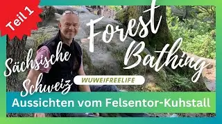 Ausflugsort   Kuhstall | S&auml;chsische Schweiz mit 4 Aussichten on Top   Carolafelsen - Waldbaden