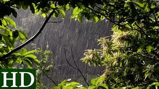 Regen - HD - Regenger&auml;usche und Naturger&auml;usche