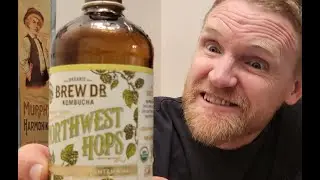 Beer flavored kombucha?!?!