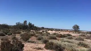 GEM STONES, Hunting gem stones Western Australian Desert. ￼