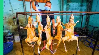 Asia's Strange Meat Secret!! Why don't more people eat this??