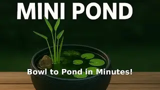 🌿 DIY Tabletop Pond | Easy Indoor Water Feature for Home & Garden Decor 💧