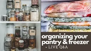 Organizing Your Pantry & Freezer + Live Q&A