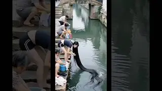 যাদের চুল লম্বা হয় না,কালো ও ঘন হয় না,অতিরিক্ত চুল ঝরে পড়ে তারা এটা লাগান চুল পড়া বন্ধ হবে