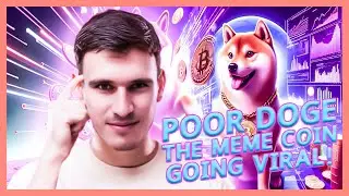 What is Poor Doge(PDoge) & where to buy it ? The meme coin breaking the internet