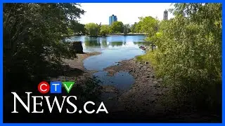 N.S. ban on entering woods draws mixed reactions