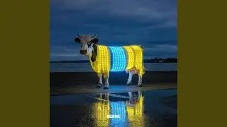 C O N N E C T