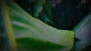 Continuous Heavy Rain for Sleeping &bull; Relaxing Nature Sounds for Deep Rest &bull; Night Ambience