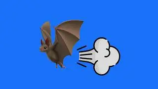 Bat fart