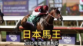 【日本賽馬】2025年日本馬王候選