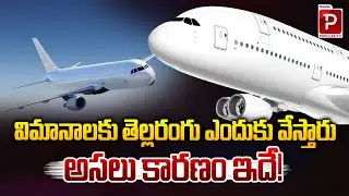 Why Are Airplanes Painted White? Real Scientific Reason Revealed! | Telugu Popular TV
