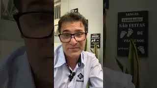 Safra caf&eacute; 2024 - Adapta&ccedil;&atilde;o Recolhedora de caf&eacute;