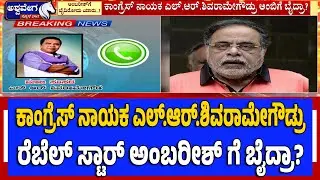 ಕಾಂಗ್ರೆಸ್ ನಾಯಕ ಎಲ್ ಆರ್ ಶಿವರಾಮೇಗೌಡ್ರು ಅಂಬಿಗೆ ಬೈದ್ರಾ..? | Rebel Star Ambareesh Abuse Row ..?