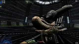 Engineer Derelict Ship in Aliens vs. Predator 2