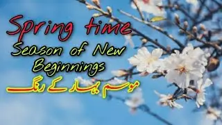Spring season in Bhangian Balakot  | Springtime | Spring |  موسم بہار کے رنگ