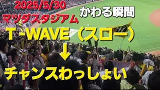 2025/5/30 阪神応援　T-WAVE→チャンスわっしょい　マツダスタジアム　#阪神タイガース応援 #阪神タイガース #阪神 #阪神応援 #プロ野球