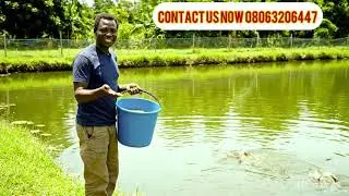 &ldquo;Secrets of Making Money from Catfish Farming and training 