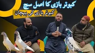 Kabootarbazi main Pharak Hoti Hai Ya Nahi? 🤔 | Ustad Imran Bakar Mandi Lahore Ka Sach