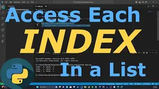How to Access the Index While Looping Through a List | Python