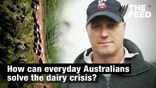 How can everyday Australians solve the dairy crisis?