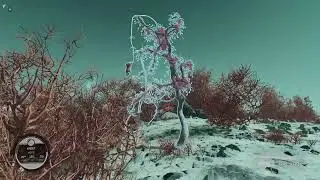 starfield kreet flora 3 location