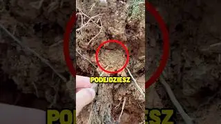 😱NIGDY nie podchodź do takiej dziury!😨😱