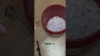 Our Secret Thanksgiving Turkey Brine