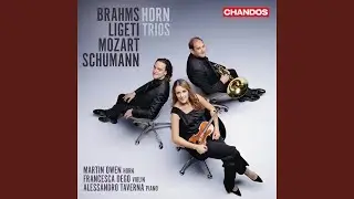 Horn Trio in E-Flat Major, Op. 40: I. Andante