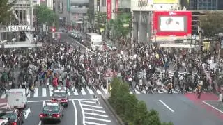 Shibuya Crossing, Tokyo, Japan - Backpackerlivet.dk