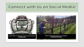 Nalle Winery & Hopkins River Ranch: History, Challenges, and the Future