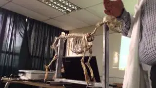 anatomia 1 clase 1 de 3