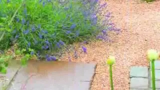 Easy Pave & Landscaping