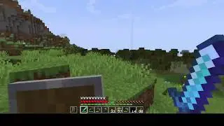 playing on the Bloom minecraft server.