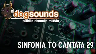 Sinfonia to Cantata 29 | PUBLIC DOMAIN MUSIC COPYRIGHT FREE (read notes)