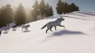 Realistic Wolf by Malbers for Unity