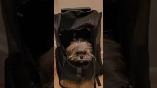 Quincy is Trippin'