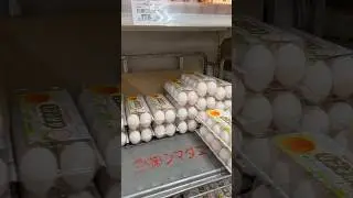 The Craziest Egg Prices in Japan