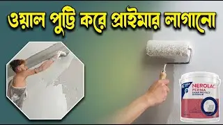 Wall Putty করে প্রাইমার লাগানো! Wall Primer Application